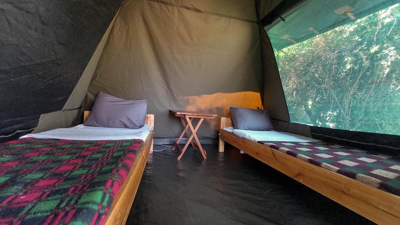 Greenwood Safari Camp Talek Luaran gambar
