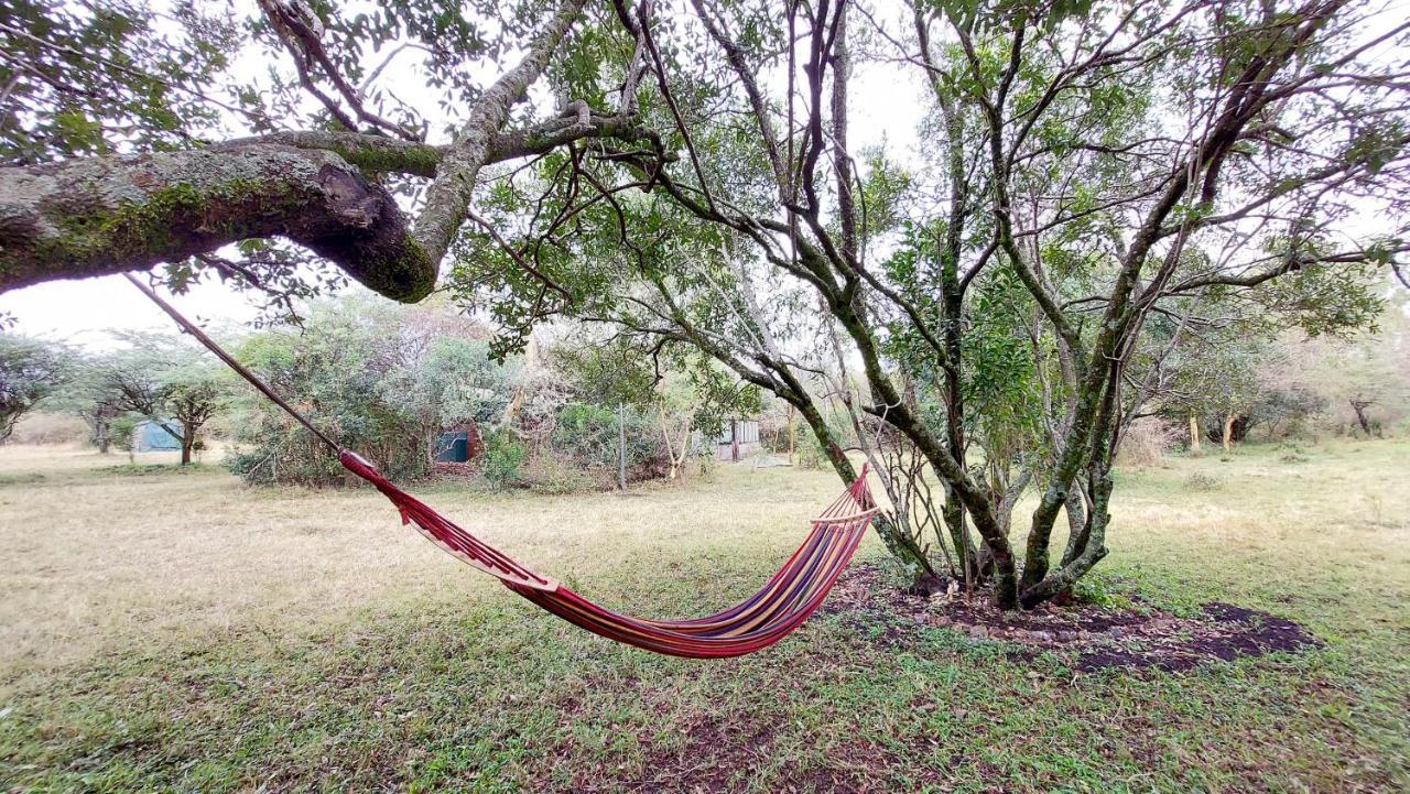 Greenwood Safari Camp Talek Luaran gambar