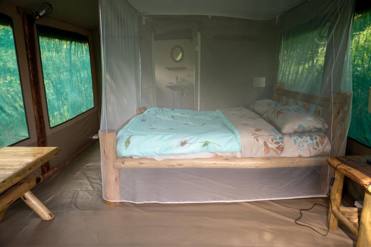 Greenwood Safari Camp Talek Luaran gambar