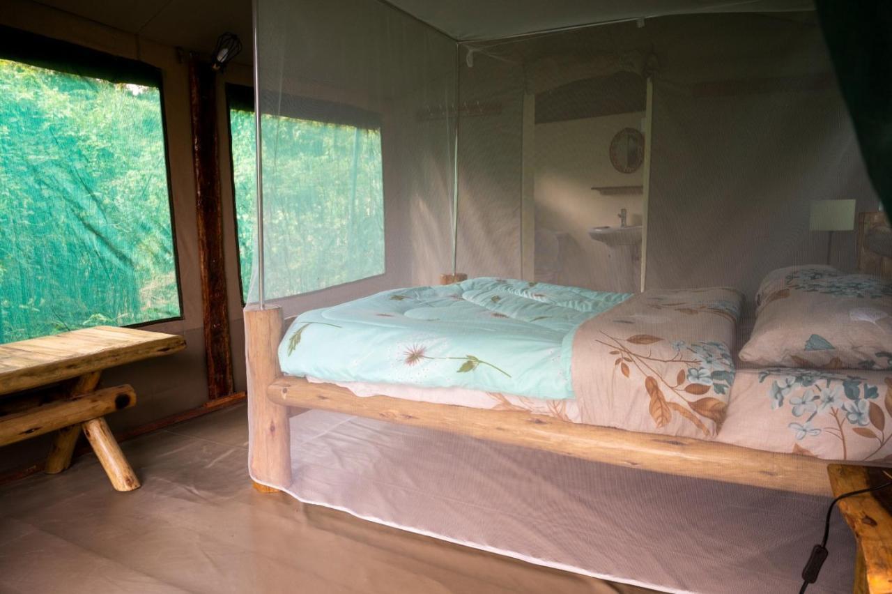 Greenwood Safari Camp Talek Luaran gambar